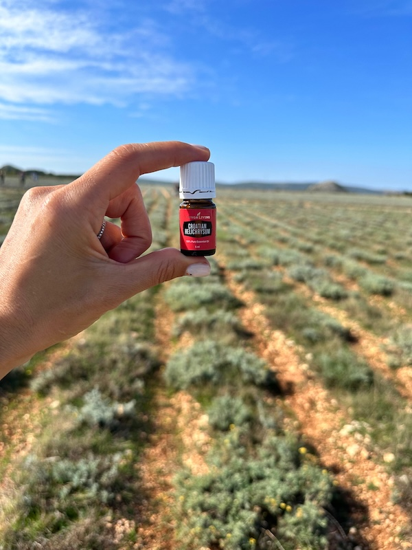 Farma smilu, Chorvatsko